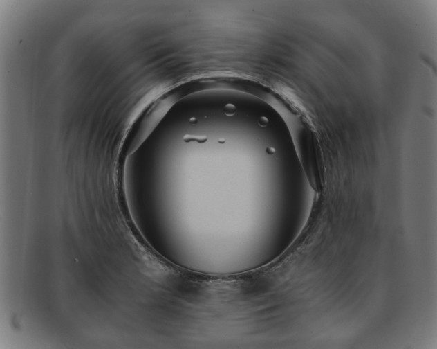 X0000091881181200709121408