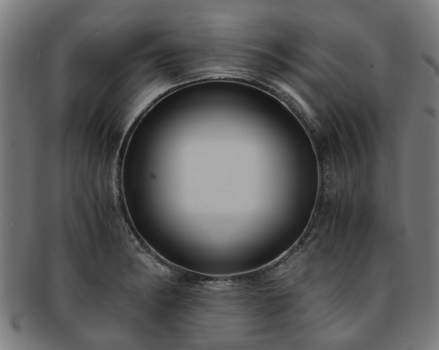X0000091881182200709121408