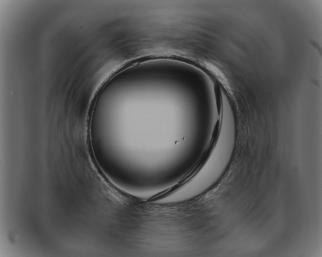 X0000091881183200709121408