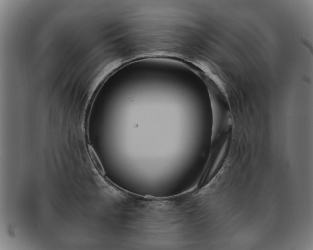X0000091881189200709121408