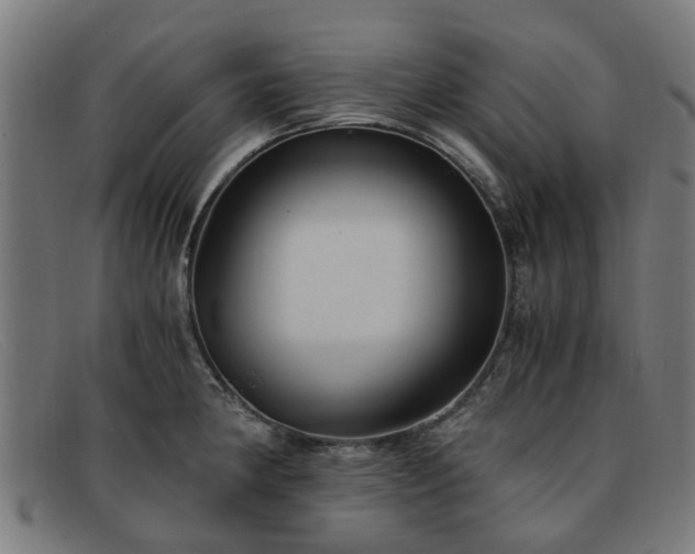 X0000091881190200709121408