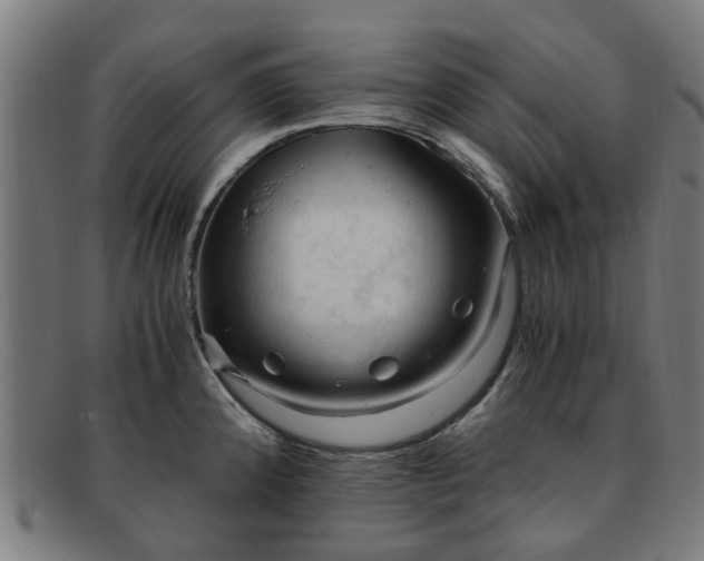 X0000091881192200709121408