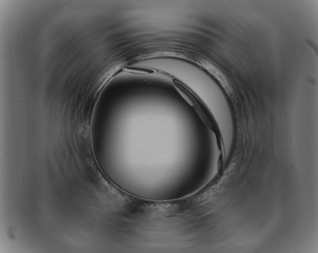X0000091881193200709121408