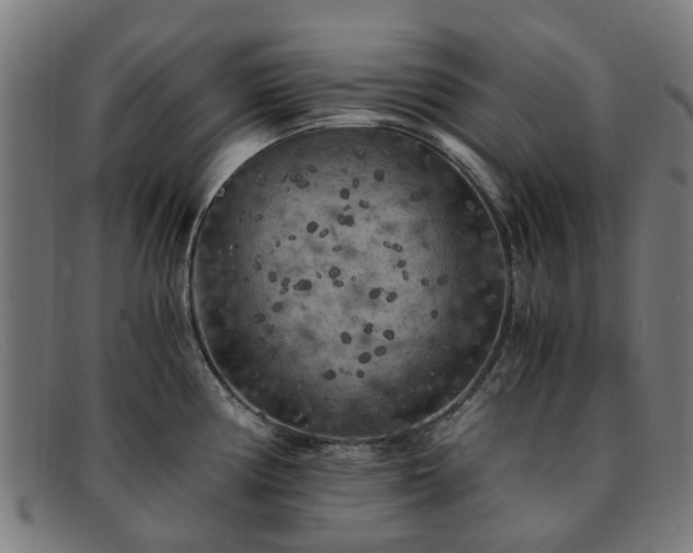 X0000091881194200709121408