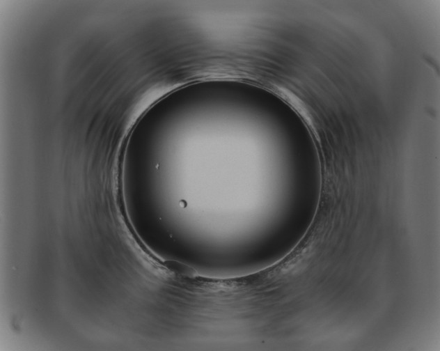 X0000091881195200709121407