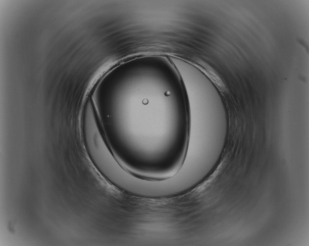 X0000091881196200709121407