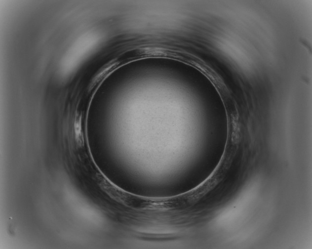 X0000091881198200709121407