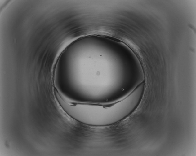 X0000091881200200709121407
