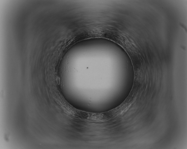 X0000091881201200709121407