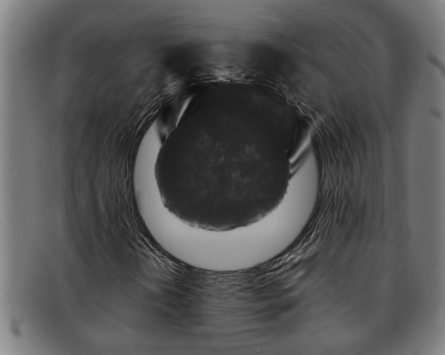 X0000091881202200709121407