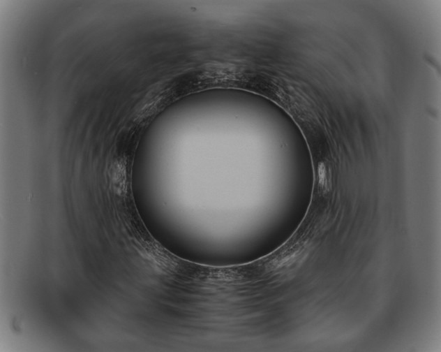 X0000091881203200709121407