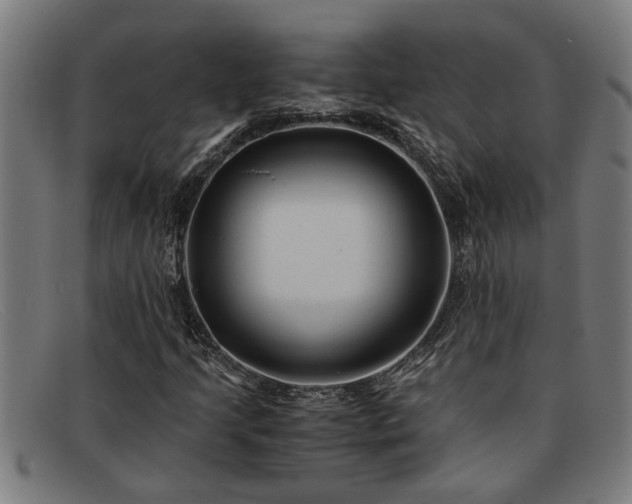 X0000091881205200709121407