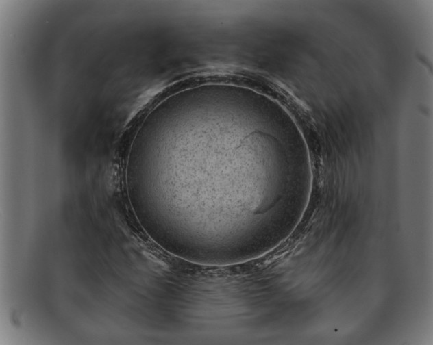 X0000091881208200709121407