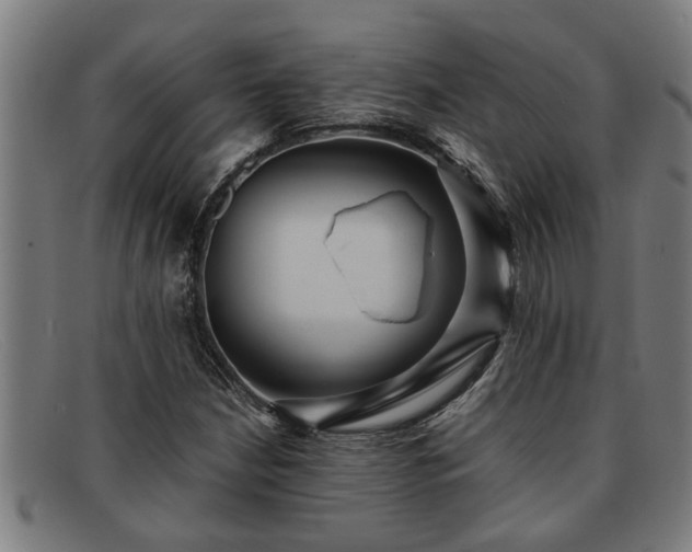 X0000091881210200709121407