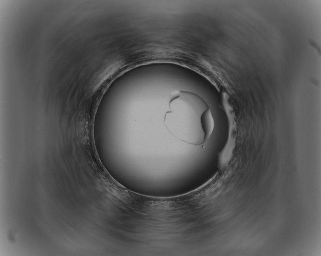 X0000091881211200709121407