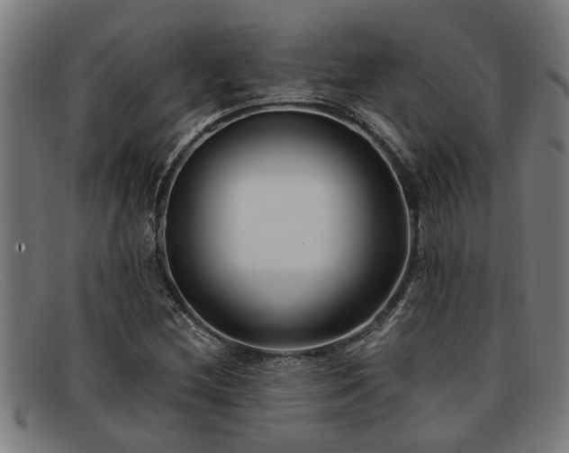 X0000091881212200709121407