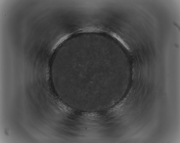 X0000091881213200709121407