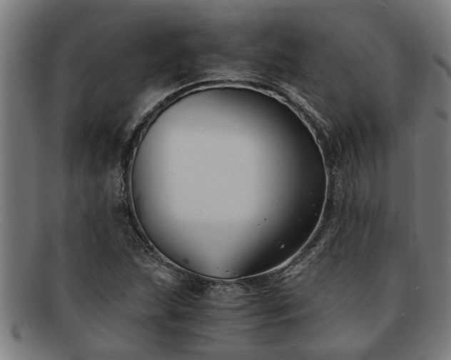 X0000091881215200709121407