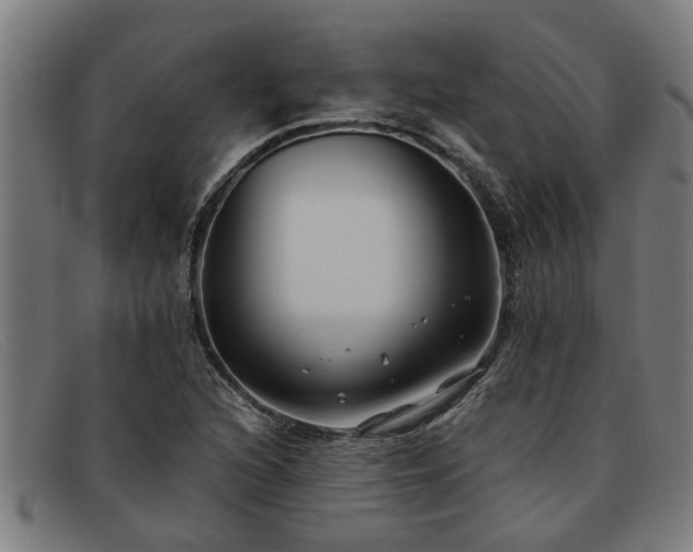 X0000091881216200709121407