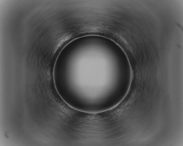 X0000091881218200709121407