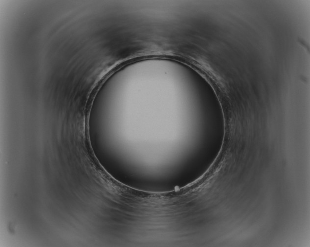 X0000091881220200709121407
