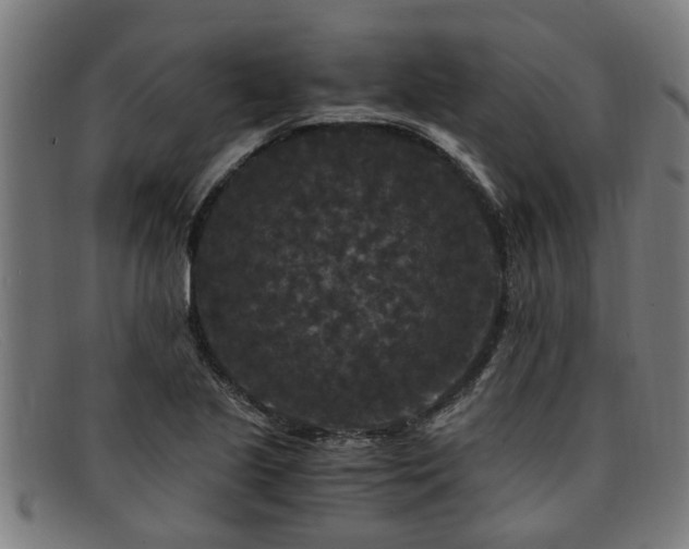 X0000091881221200709121407