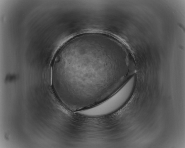 X0000091881223200709121407