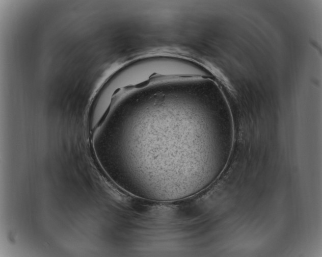 X0000091881224200709121407