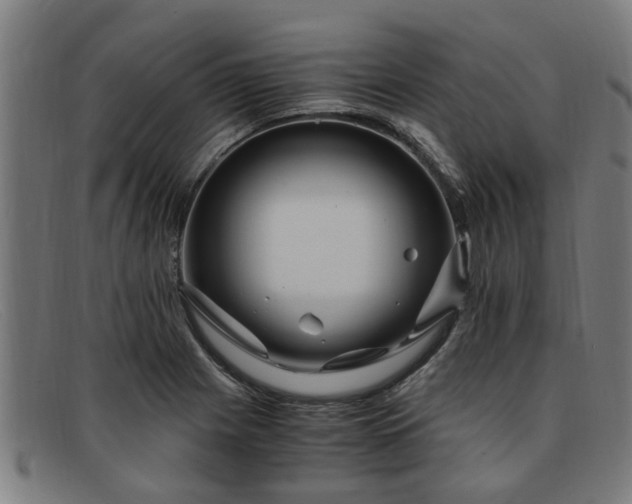 X0000091881225200709121407