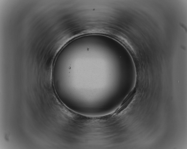 X0000091881228200709121407