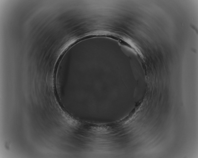 X0000091881229200709121407