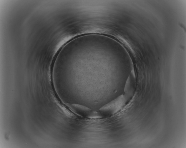 X0000091881230200709121407