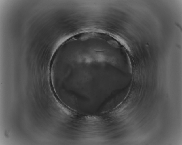 X0000091881231200709121407