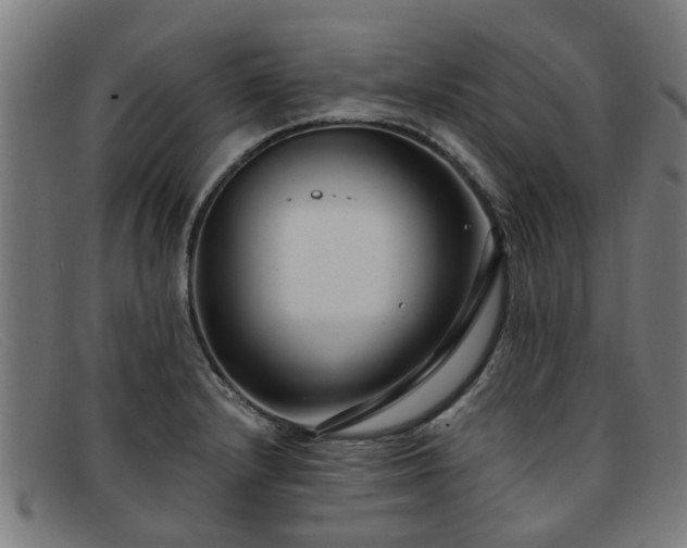 X0000091881232200709121407