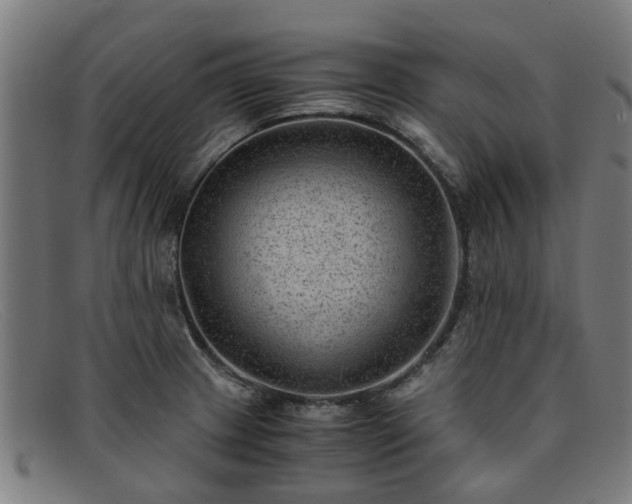 X0000091881233200709121407