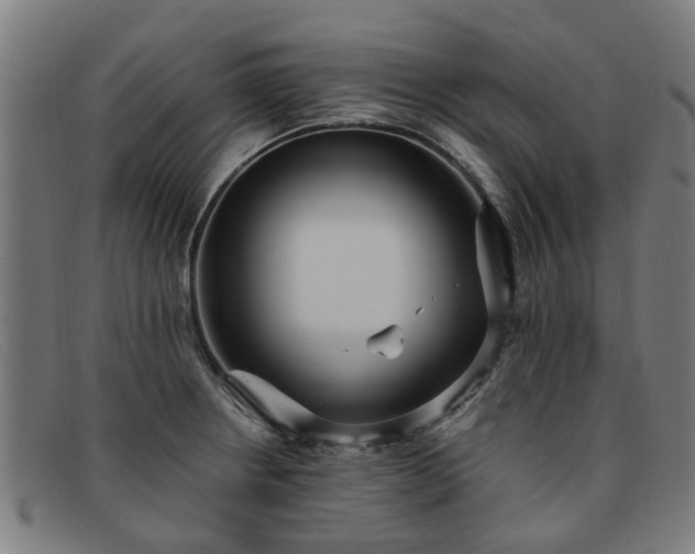 X0000091881234200709121407