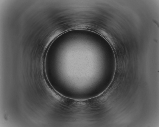 X0000091881235200709121407