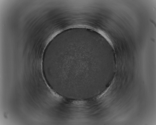 X0000091881237200709121407