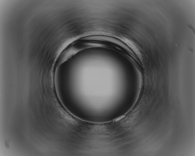 X0000091881238200709121407
