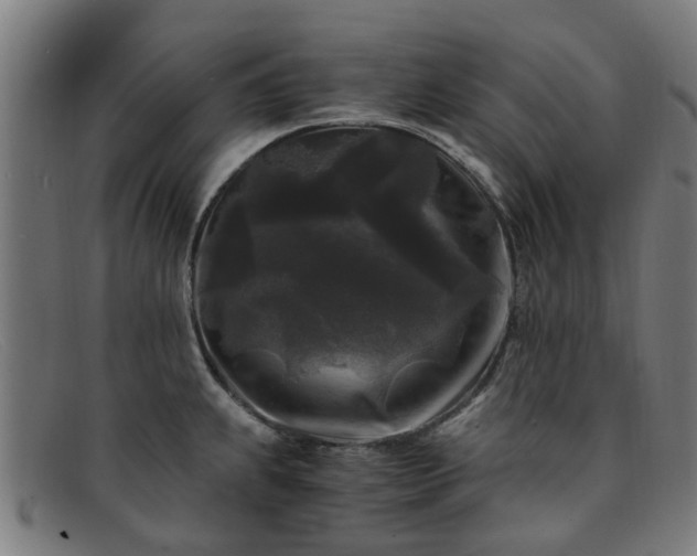 X0000091881239200709121407