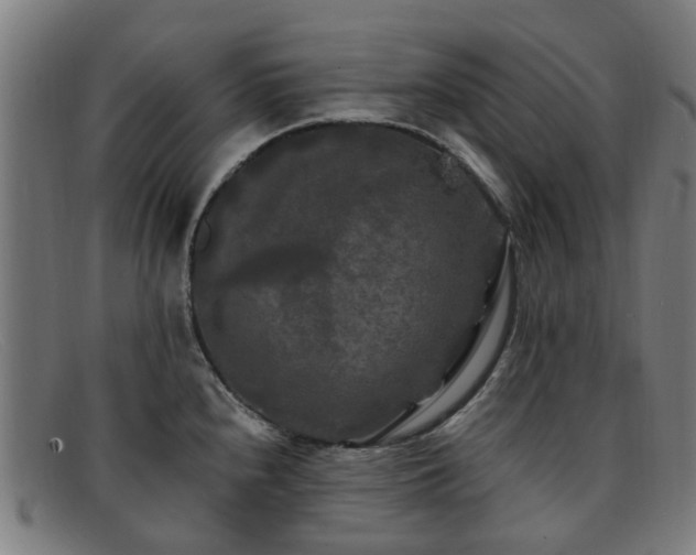 X0000091881240200709121407
