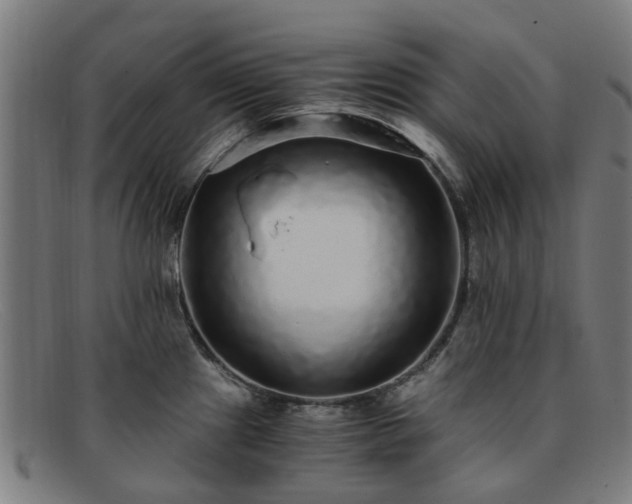 X0000091881241200709121407