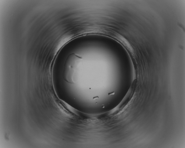 X0000091881242200709121407