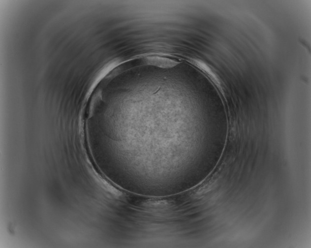 X0000091881243200709121407