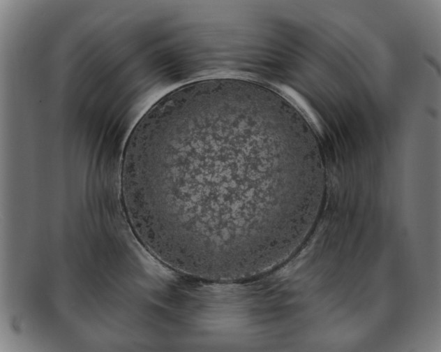 X0000091881244200709121407