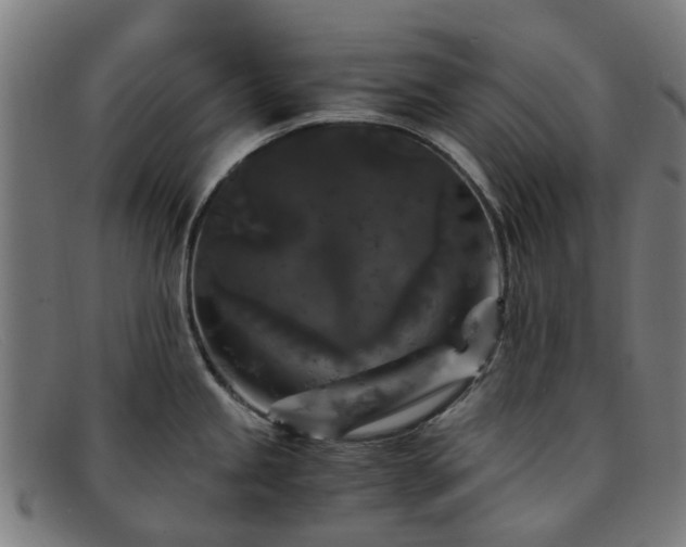 X0000091881245200709121407