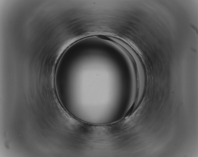 X0000091881246200709121407