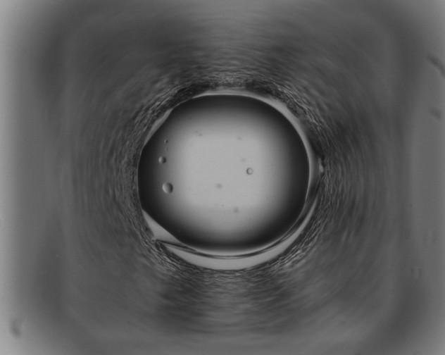 X0000091881249200709121407