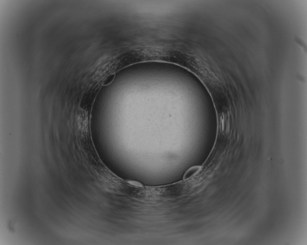 X0000091881251200709121407