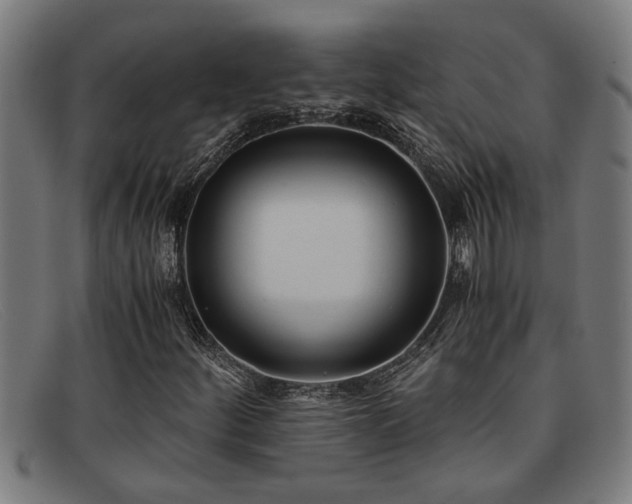 X0000091881252200709121407